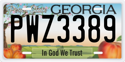 GA license plate PWZ3389