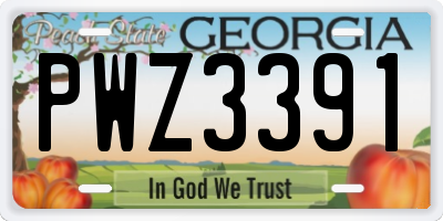 GA license plate PWZ3391