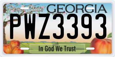 GA license plate PWZ3393