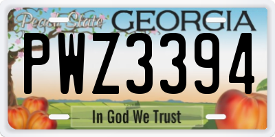 GA license plate PWZ3394
