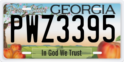 GA license plate PWZ3395