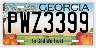 GA license plate PWZ3399