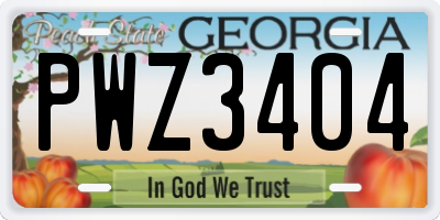 GA license plate PWZ3404