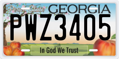 GA license plate PWZ3405