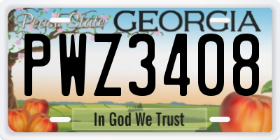 GA license plate PWZ3408