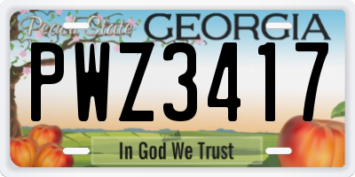 GA license plate PWZ3417