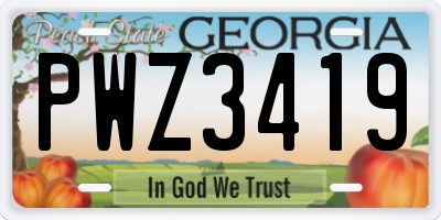 GA license plate PWZ3419