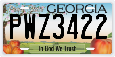 GA license plate PWZ3422