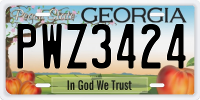 GA license plate PWZ3424