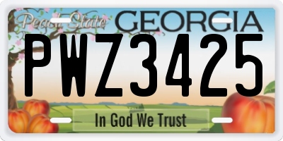 GA license plate PWZ3425