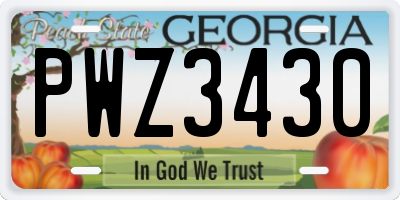 GA license plate PWZ3430