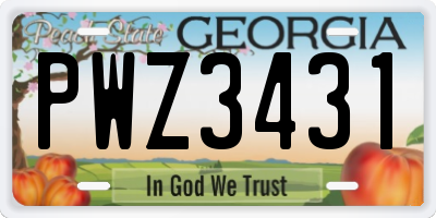 GA license plate PWZ3431