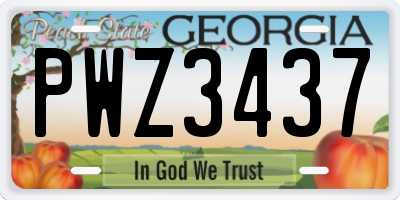 GA license plate PWZ3437