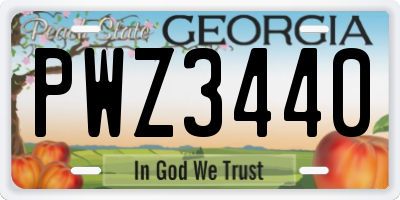 GA license plate PWZ3440