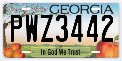 GA license plate PWZ3442