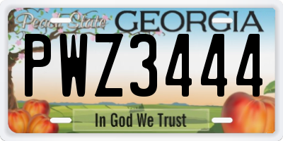 GA license plate PWZ3444