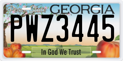 GA license plate PWZ3445