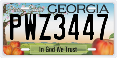 GA license plate PWZ3447