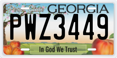 GA license plate PWZ3449