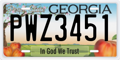 GA license plate PWZ3451