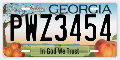 GA license plate PWZ3454