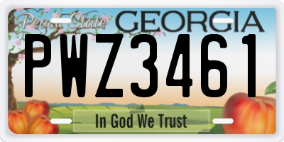 GA license plate PWZ3461