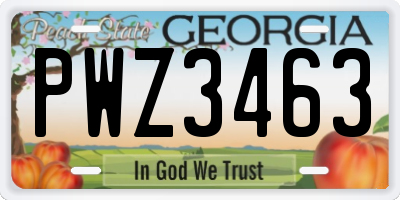 GA license plate PWZ3463