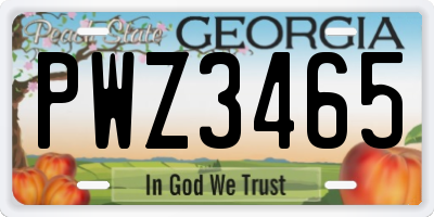 GA license plate PWZ3465