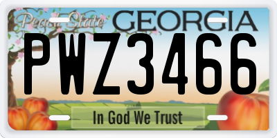GA license plate PWZ3466
