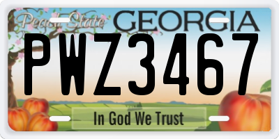 GA license plate PWZ3467