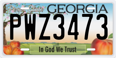 GA license plate PWZ3473
