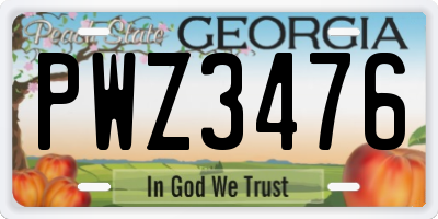 GA license plate PWZ3476