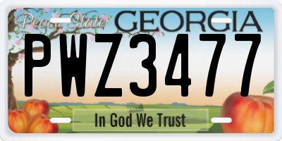 GA license plate PWZ3477