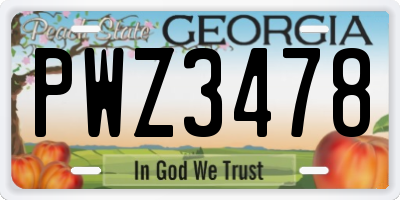 GA license plate PWZ3478