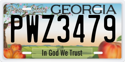 GA license plate PWZ3479