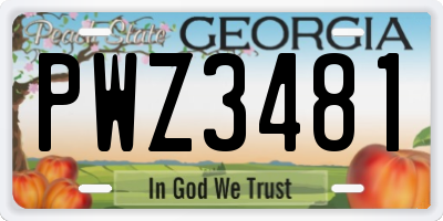 GA license plate PWZ3481