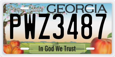GA license plate PWZ3487