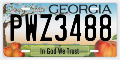 GA license plate PWZ3488