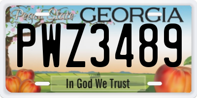 GA license plate PWZ3489