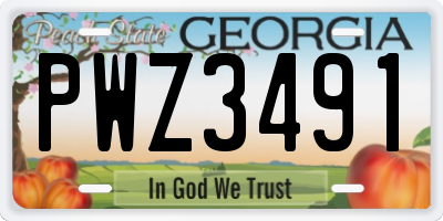 GA license plate PWZ3491