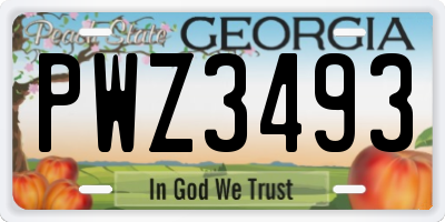 GA license plate PWZ3493