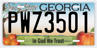GA license plate PWZ3501