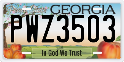 GA license plate PWZ3503