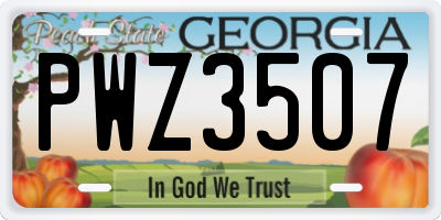GA license plate PWZ3507