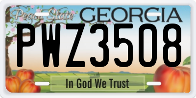 GA license plate PWZ3508