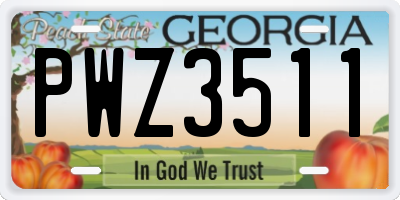 GA license plate PWZ3511