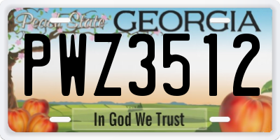 GA license plate PWZ3512