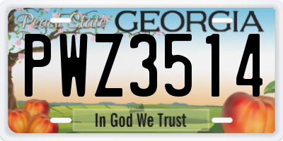 GA license plate PWZ3514