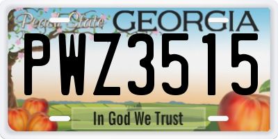 GA license plate PWZ3515