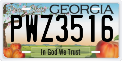 GA license plate PWZ3516